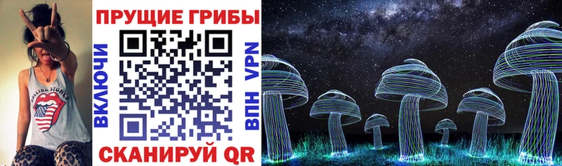 Галлюциногенные грибы MAGIC MUSHROOMS  даркнет сайт  нарко площадка наркотические препараты  Ясногорск 